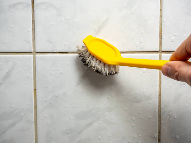 Best Home Mold Removal  in Framingham, MA
