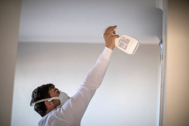 Best Black Mold Removal  in Framingham, MA