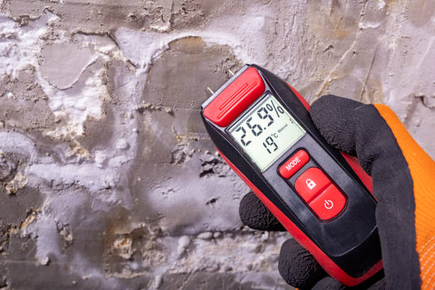 Best Professional Mold Removal  in Framingham, MA