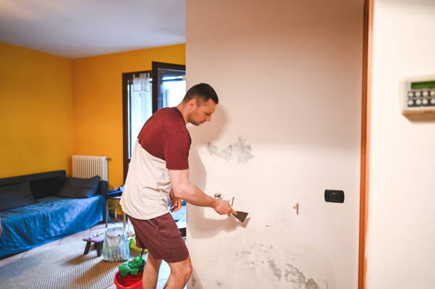 Best Affordable Mold Removal  in Framingham, MA